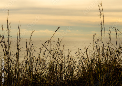 Seascape with spikes in the foreground