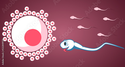 Cartoon Sperm cell hurries to the egg cell.