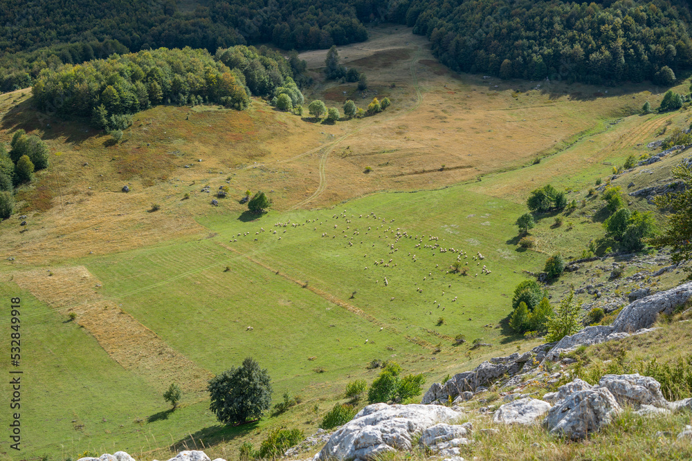 A grassy valley surrounded by trees and rocks with sheep grazing on the grass on the mountain A grassy valley surrounded by trees and rocks with sheep grazing on the grass on the mountain