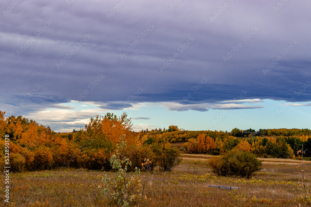 Obraz premium A drive through Foothills County Alberta Canada