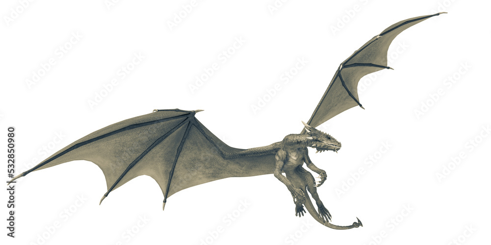 Fototapeta premium dragon