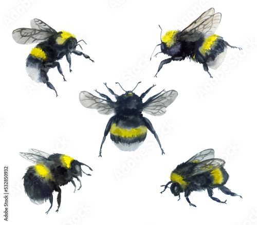 Watercolor set of bees. Cute bees on a white background. Illustration for factory printing. Insect logotope. Bee logo © Татьяна Комцян