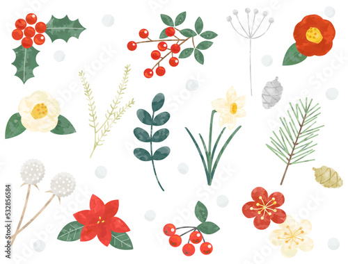 冬の植物をイメージしたイラストのセット