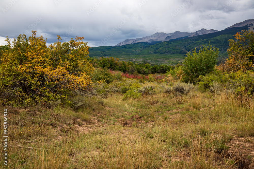 fall colors on Kepler Pass Colorado