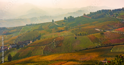 Amazing autumnal landscape in the Langhe  famous vineyard area in Piedmont Italy