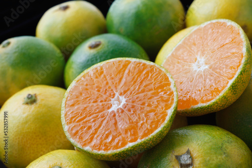 青切りみかん　　スタジオ撮影