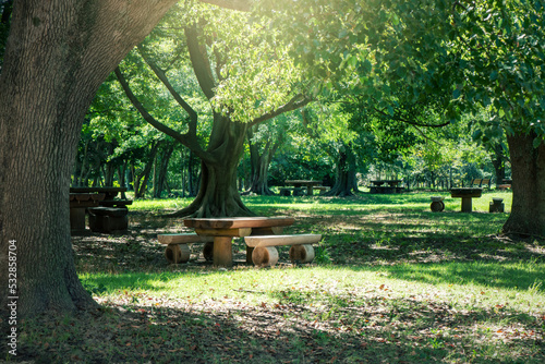 午後の日差しが当たる公園の木製テーブル