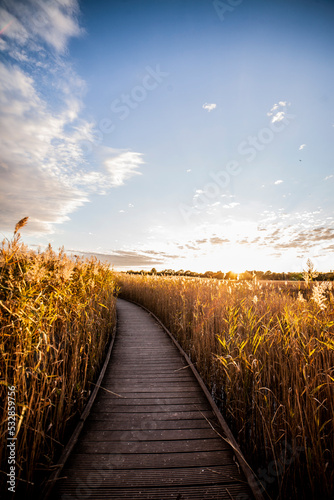 nature