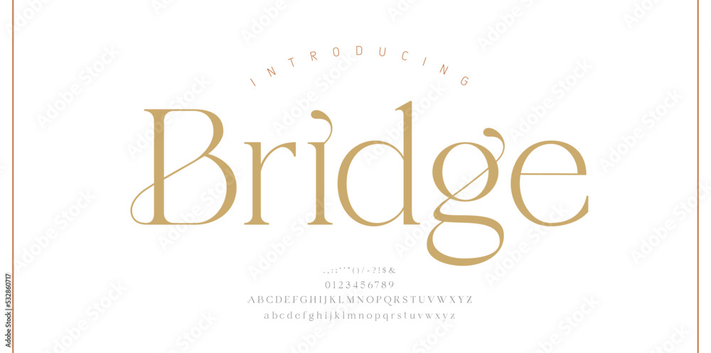 Luxury wedding alphabet letters font with tails. Typography elegant classic serif fonts and number decorative vintage retro concept for logo branding. vector illustration