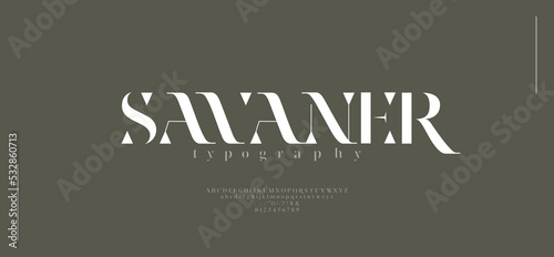 Luxury alphabet letters font. Typography Elegant classic serif fonts and number decorative logo wedding vintage retro concept. vector illustration