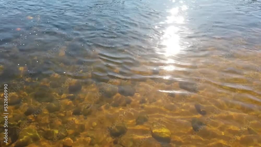 rio limpido com seixos no fundo e reflexos do sol sobre a água rio limpido com seixos no fundo e reflexos do sol sobre a água