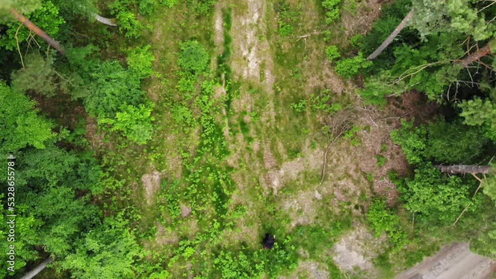 Dark Mower Grim Reaper From Hell At The Midst Of A Jungle. Aerial Shot Dark Mower Grim Reaper From Hell At The Midst Of A Jungle. Aerial Shot