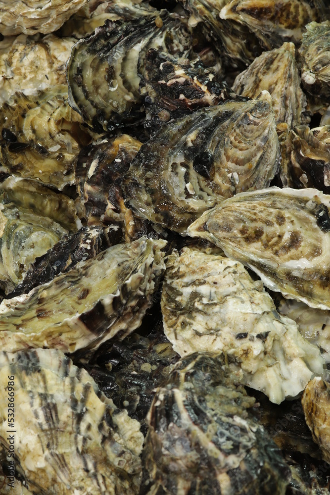 Ostras Crua / Raw Oysters