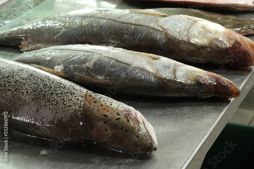 Peixe Cru / Frutos do Mar /  Seafood photo