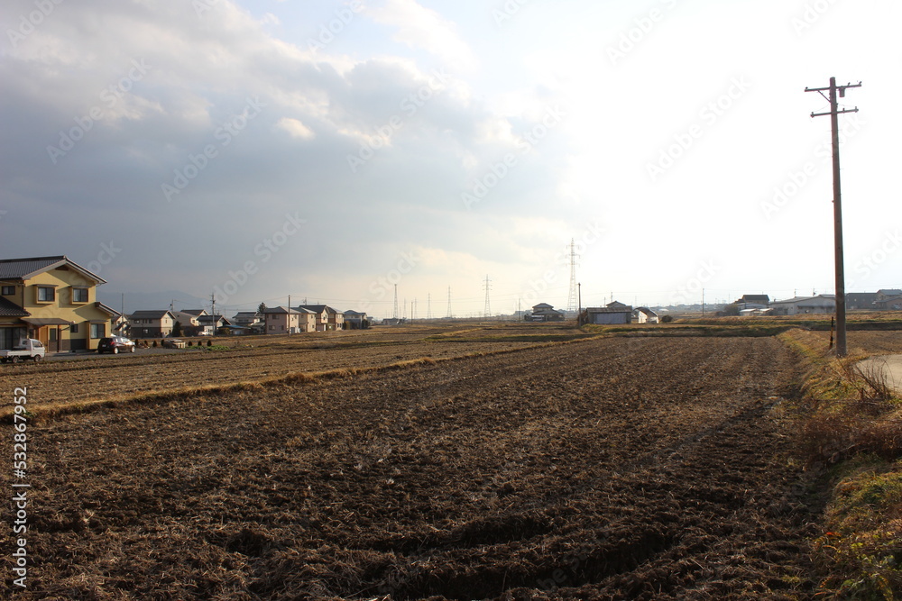 2013 view of growing town neighborhood and rice fields