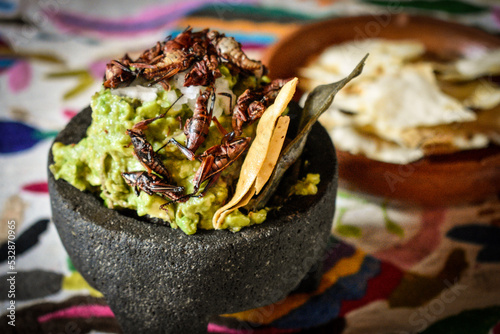 Photography Guacamole con chapulines - Comida mexicana