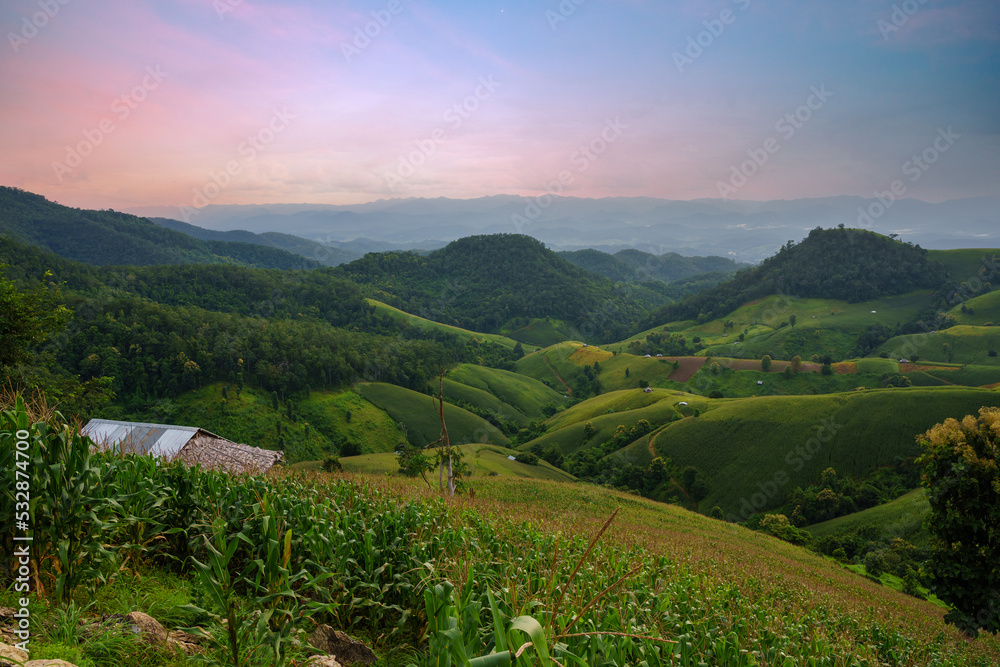 Agriculture fields of corn on the hills with wooden cottage durring evening in green season of Mae Hong Son province unseen Northern Thailand. Scenic landscape in Thailand.