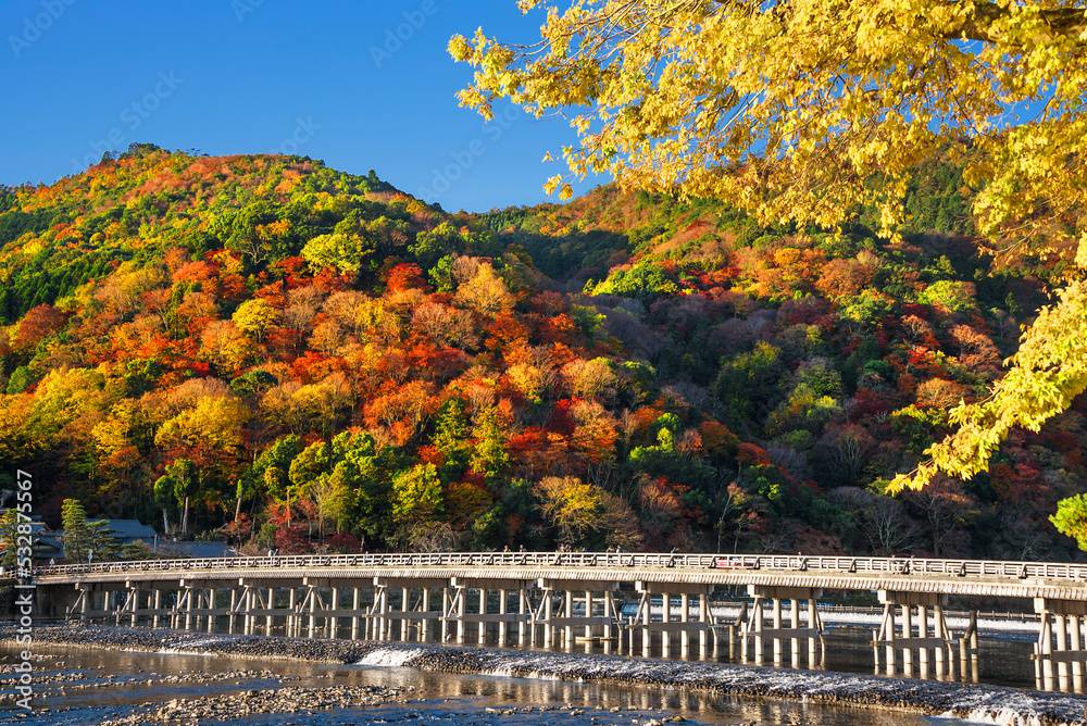 Fototapeta premium 秋の京都 嵐山の紅葉と渡月橋