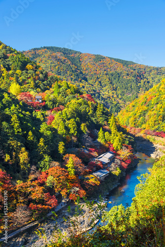 嵐山公園展望台から望む秋の保津川と嵐山の風景