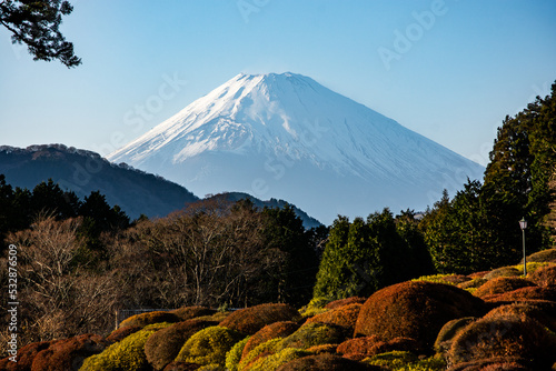 Mount Fuji in Japan viewed from a park with autumn colors and a path