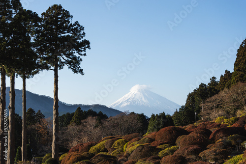 Mount Fuji from a park with autumn colors and a hiking path