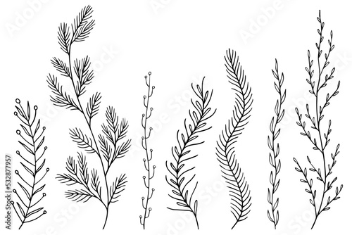 Leafs plants hand drawn vector. Drawing beautiful creeper leaf, decorative set	