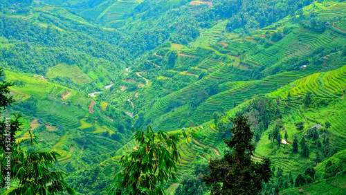 Road from Ha Giang to Dong Van. Karst plateau , Vietnam