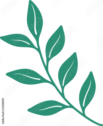 Christmas Holly Leaf Illustration 