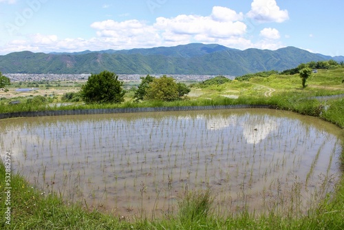 Obasute Rice Fields, Nagano, Japan photo