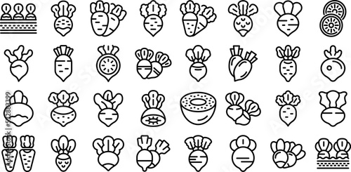 Radish icons set outline vector. Slice agriculture. Summer plant