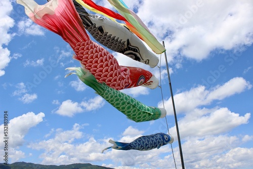 Koi Nobori Carp Streamers for Children's Day