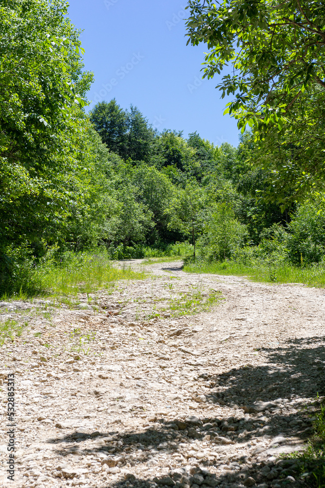 summer, dirt road, nature, woodland, sky, panorama of the area,sunny day. summer, dirt road, nature, woodland, sky, panorama of the area,sunny day.