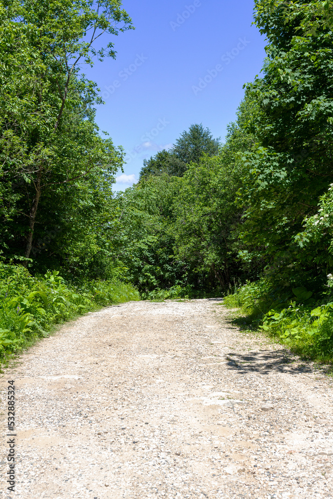Obraz premium summer, dirt road, nature, woodland, sky, panorama of the area,sunny day.