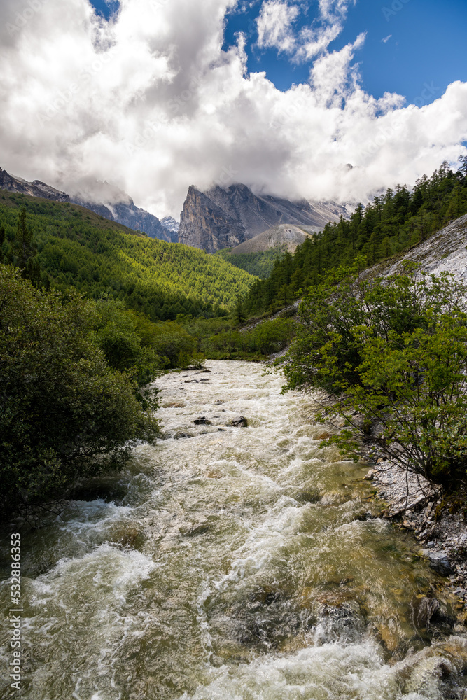 Beautiful scene in the Daocheng Yading National Nature Reserve (know as Nyidên in Tibetan), Ganzi, Sichuan, China. The Snow Mountain is covered by cloud. Vertical image, rapid river
