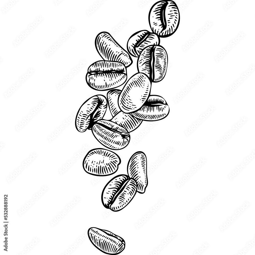 Hand drawn Coffee Beans Falling Sketch illustration Stock Vector ...