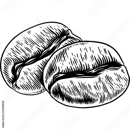 Hand drawn Coffee Beans Sketch illustration