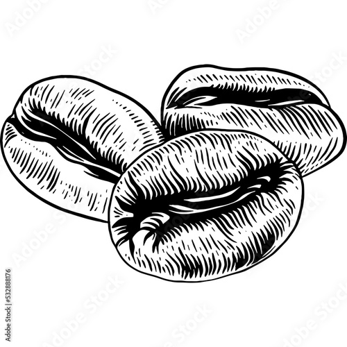 Hand drawn Coffee Beans Sketch illustration
