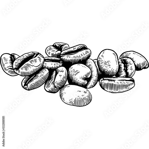 Hand drawn Coffee Beans Sketch illustration
