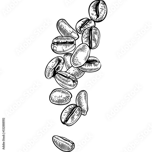 Hand drawn Coffee Beans Falling Sketch illustration