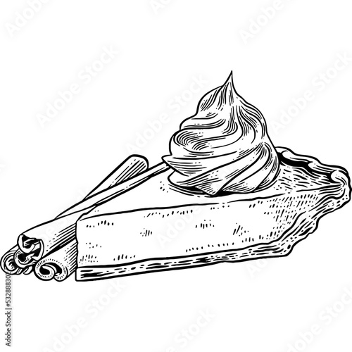 Hand drawn Pumpkin Pie Sketch Illustration
