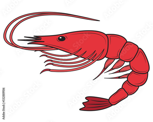 Red boiled prawns or tiger prawns isolated on white background. Fresh Seafood.Vector illustration.