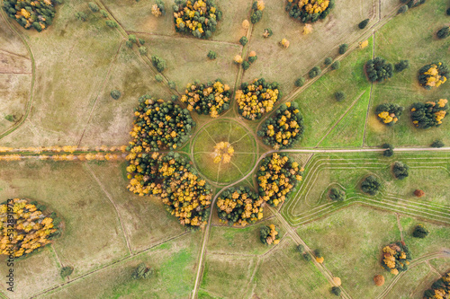 State museum Pavlovsk in autumn. Composition Circle of white birches. Aerial view. photo