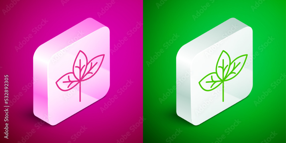 Isometric line Leaf icon isolated on pink and green background. Leaves sign. Fresh natural product symbol. Silver square button. Vector Isometric line Leaf icon isolated on pink and green background. Leaves sign. Fresh natural product symbol. Silver square button. Vector