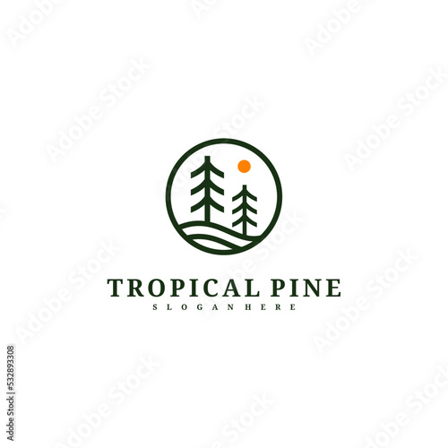 Pine Tree logo design vector template, Tropical forest logo concepts illustration.