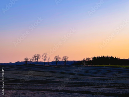 Fields and trees at sunset