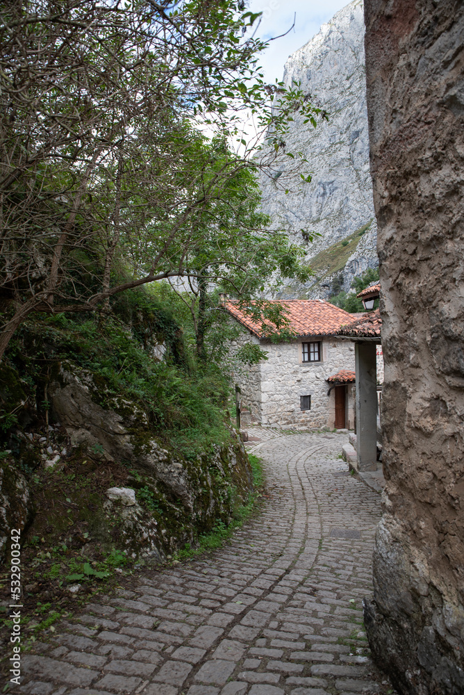 stone path in mountain village