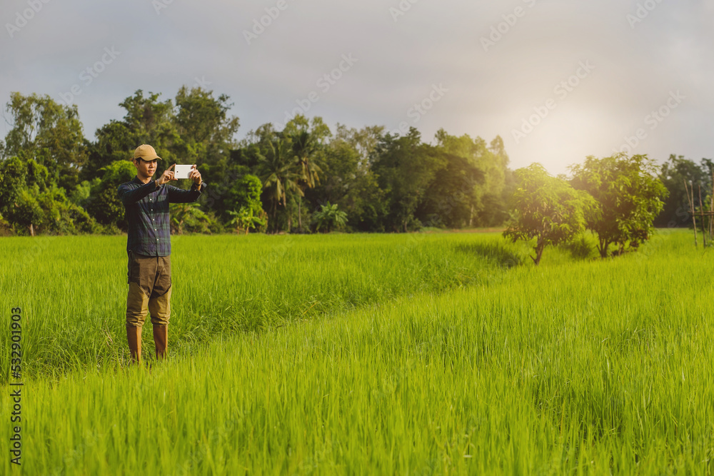 Asia male Farmer analyzing rice field While Using Digital Tablet in smart Farm,
agriculture technology concept Asia male Farmer analyzing rice field While Using Digital Tablet in smart Farm,
agriculture technology concept