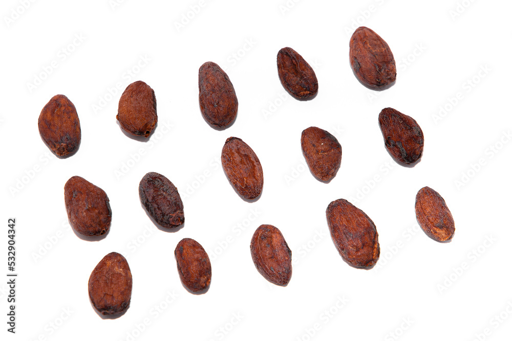 cocoa seed or cacao beans isolated on white background. cocoa seed or cacao beans isolated on white background.