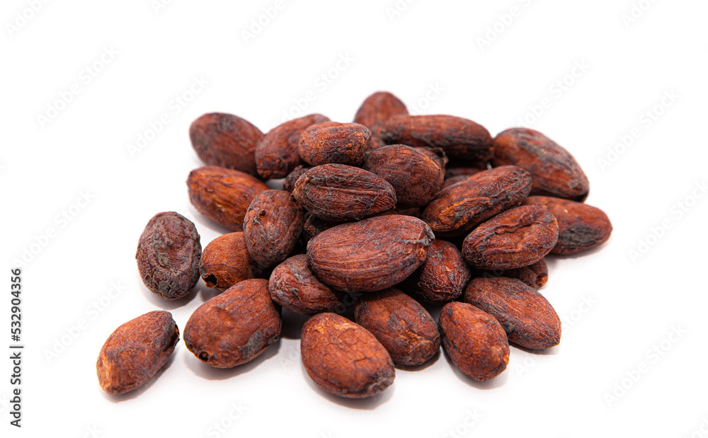 cocoa seed or cacao beans isolated on white background. cocoa seed or cacao beans isolated on white background.