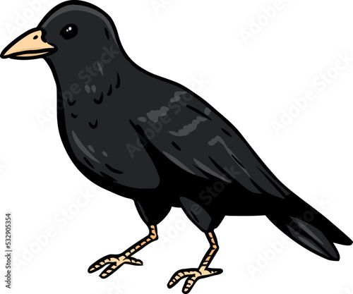 Crow or raven cartoon icon. Wild bird outline comic style image. Hand drawn isolated lineart image for prints, designs, cards. Web and mobile clipart